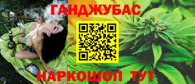 МДПВ Дубна