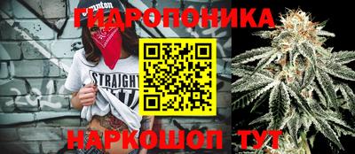 МДПВ Дубна
