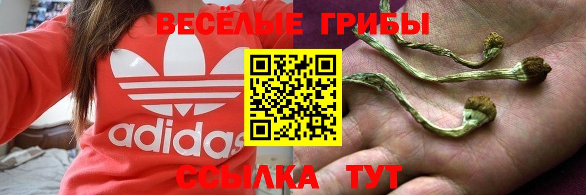 Псилоцибиновые грибы MAGIC MUSHROOMS Губкинский