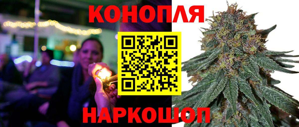 Бошки марихуана сатива Губкинский
